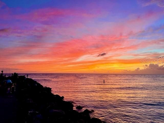 515 AVENIDA DE MAYO, Sarasota, FL 34242