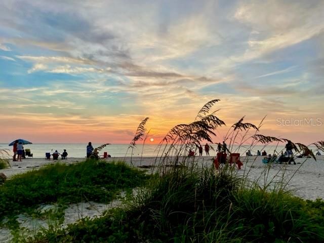 515 AVENIDA DE MAYO, Sarasota, FL 34242