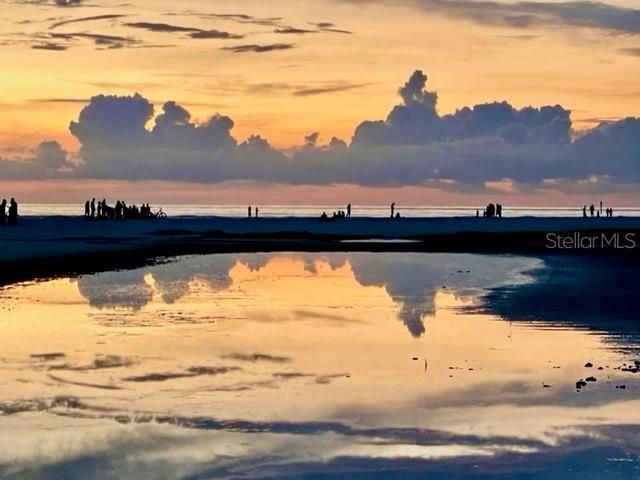 515 AVENIDA DE MAYO, Sarasota, FL 34242