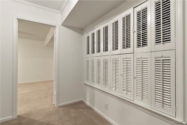 2438 Trenton, Tuscaloosa, AL 35406