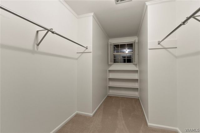 2438 Trenton, Tuscaloosa, AL 35406