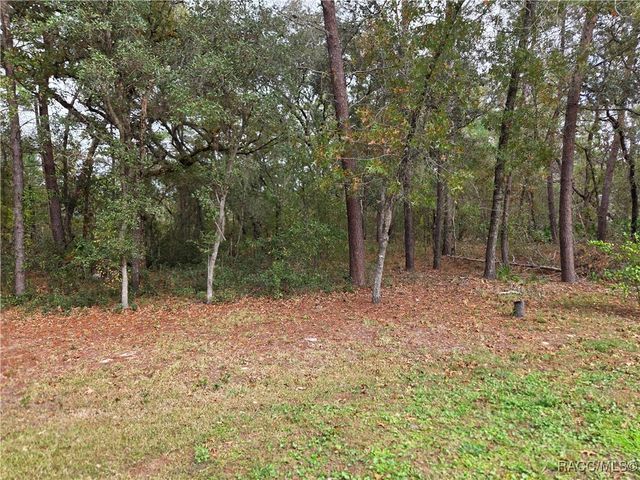 12 Cassia Court, Homosassa, FL 34446