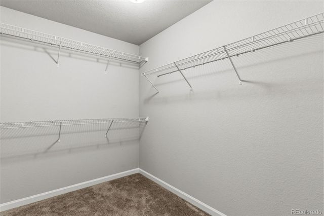 4055 Tiberias Point, Colorado Springs, CO 80916