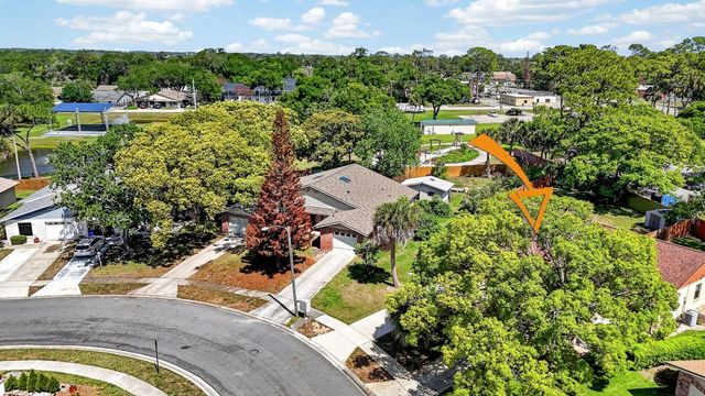 109 SHANGRI LA CIRCLE, Edgewater, FL 32132