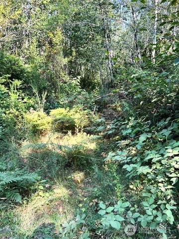 1209 196th Avenue NW, Lakebay, WA 98349