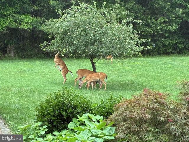 7800 MYSTIC RIVER TER, Glenn Dale, MD 20769