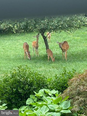 7800 MYSTIC RIVER TER, Glenn Dale, MD 20769