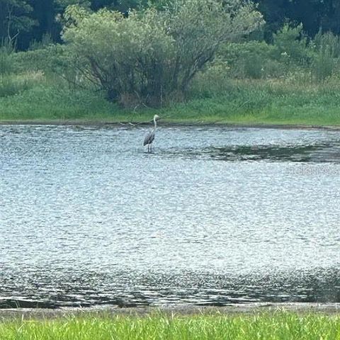 000 PALOMINO LAKES DR, Dade City, FL 33523