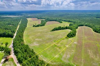 Lot 51 Mineral Springs Rd, Jay, FL 32565