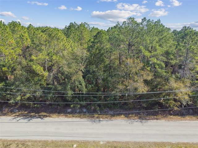 000 OLD HAW CREEK ROAD, Bunnell, FL 32110