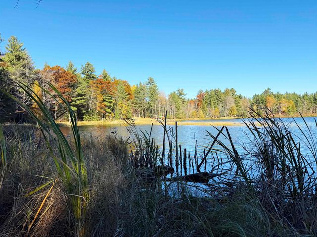 6320 Woodland Drive Ne, Kalkaska, MI 49646