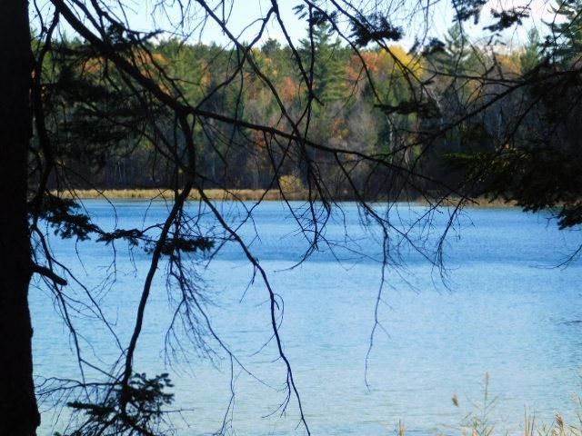 6320 Woodland Drive Ne, Kalkaska, MI 49646