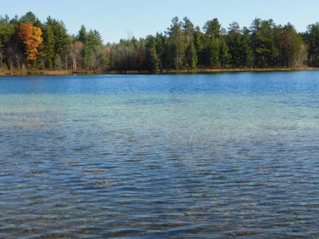 6320 Woodland Drive Ne, Kalkaska, MI 49646