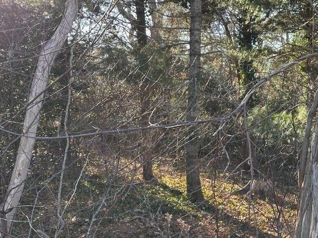 568 Route 6a, Dennis, MA 02638