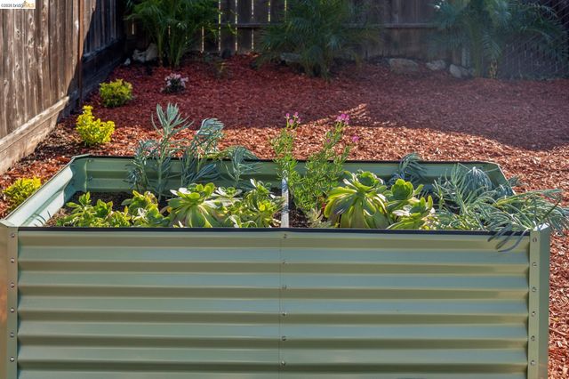 1339 Kains Ave, Berkeley, CA 94702