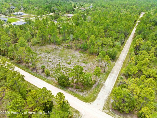 10052 Yellowbird Avenue, Weeki Wachee, FL 34614