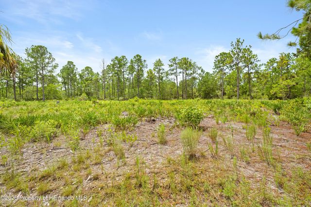 10052 Yellowbird Avenue, Weeki Wachee, FL 34614