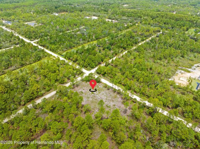 10052 Yellowbird Avenue, Weeki Wachee, FL 34614