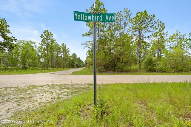 10052 Yellowbird Avenue, Weeki Wachee, FL 34614