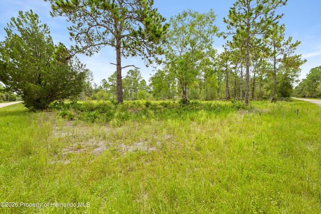 10052 Yellowbird Avenue, Weeki Wachee, FL 34614