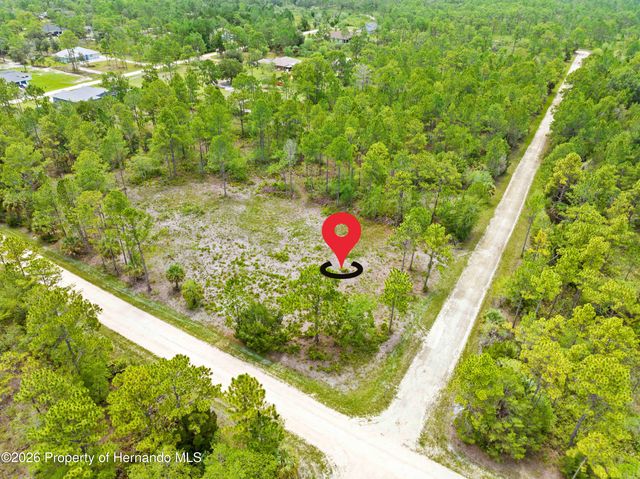 10052 Yellowbird Avenue, Weeki Wachee, FL 34614