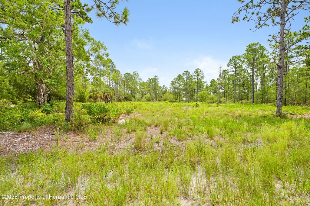 10052 Yellowbird Avenue, Weeki Wachee, FL 34614