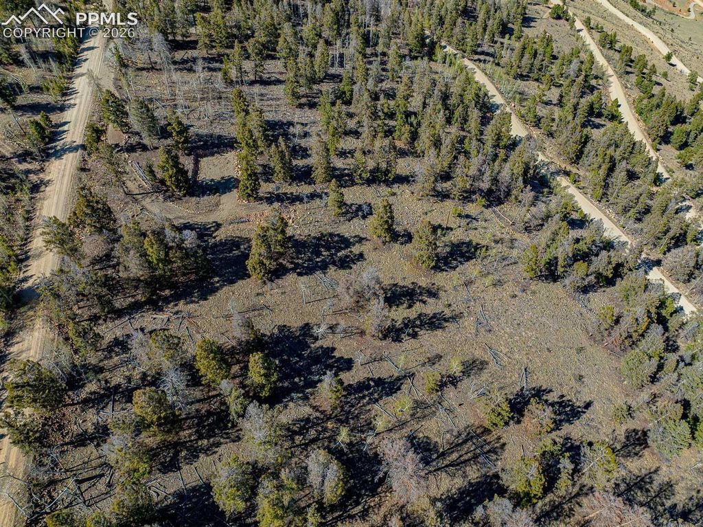 5302 Middle Fork Vista, Fairplay, CO 80440 — exterior