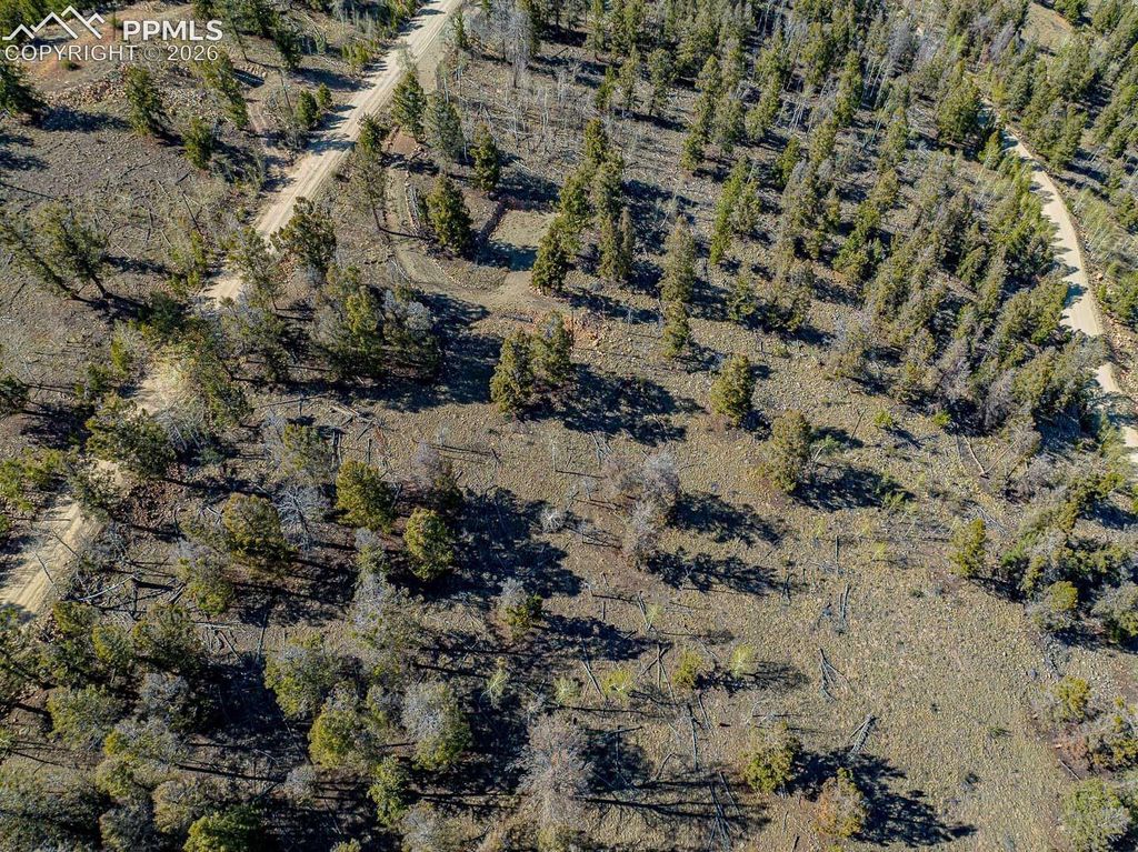 5302 Middle Fork Vista, Fairplay, CO 80440 — photo 2
