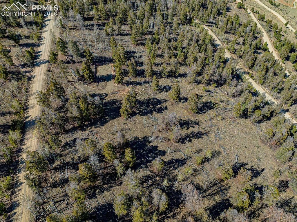 5302 Middle Fork Vista, Fairplay, CO 80440 — photo 3