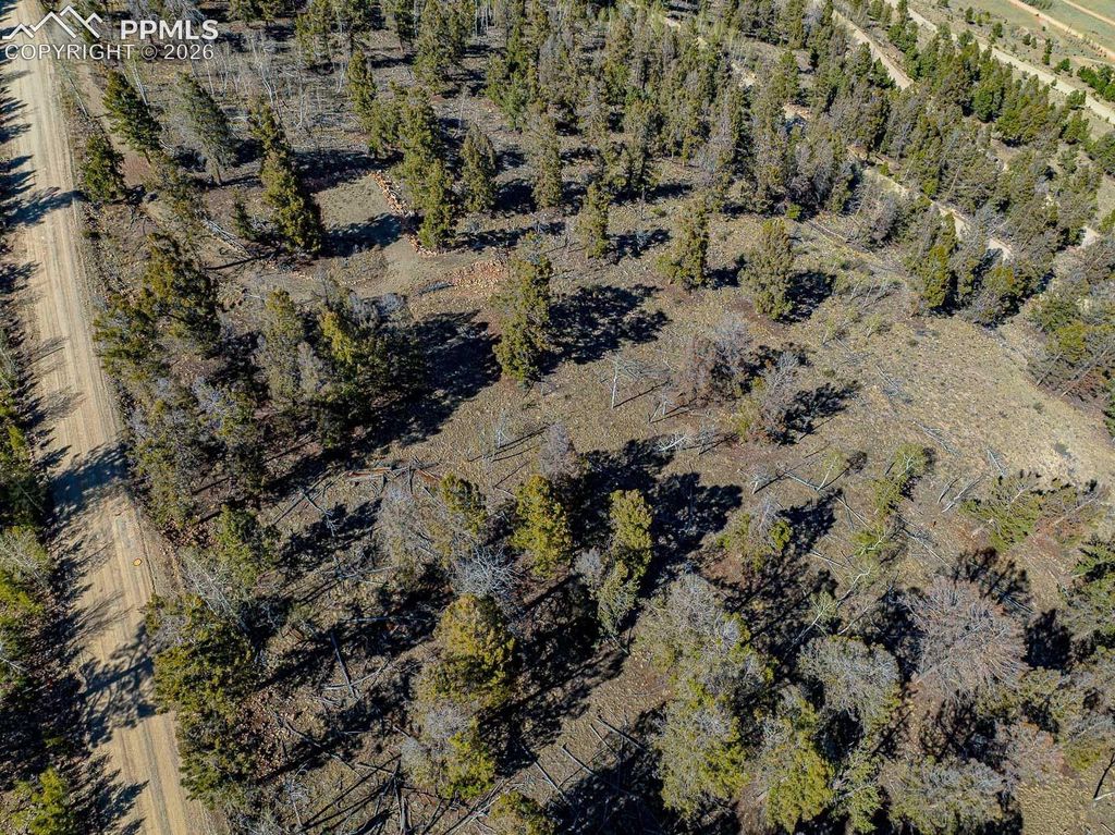5302 Middle Fork Vista, Fairplay, CO 80440 — photo 4