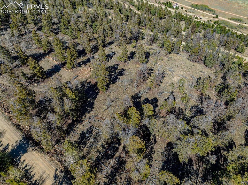 5302 Middle Fork Vista, Fairplay, CO 80440 — photo 5