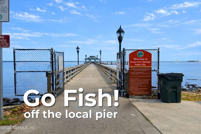 1165 MARTIN LUTHER KING JR Boulevard, Green Cove Springs, FL 32043