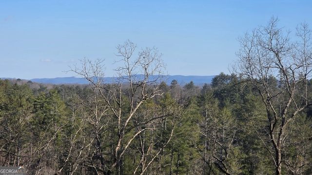 155 Rhondas Way, East Ellijay, GA 30540