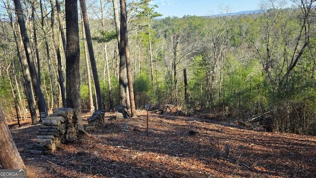 155 Rhondas Way, East Ellijay, GA 30540