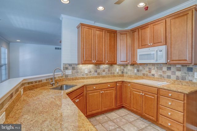 101 SPRINGMILL DR, Middletown, DE 19709