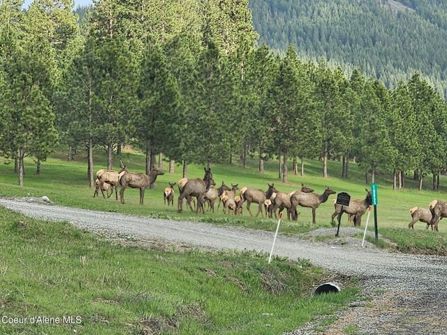 18568 W Heavens Gate RD, Post Falls, ID 83854