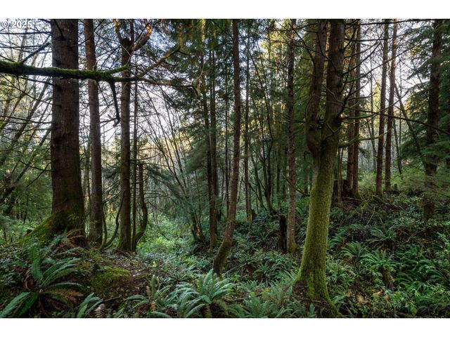 Bryant St 602 604, Wheeler, OR 97147