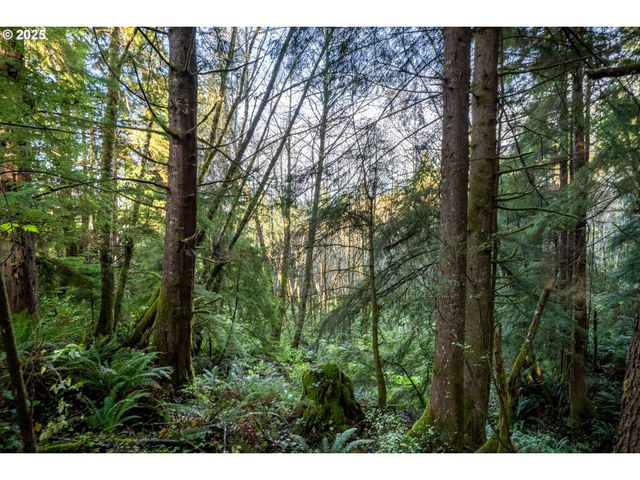 Bryant St 602 604, Wheeler, OR 97147