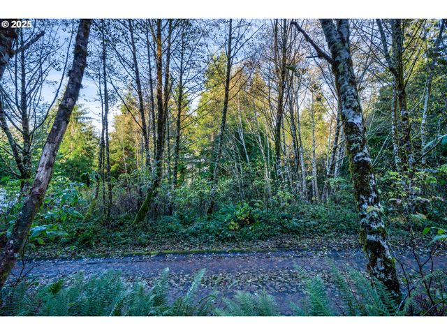 Bryant St 602 604, Wheeler, OR 97147