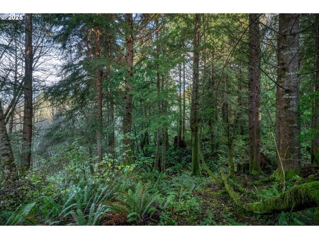 Bryant St 602 604, Wheeler, OR 97147