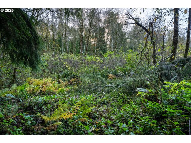 Bryant St 602 604, Wheeler, OR 97147