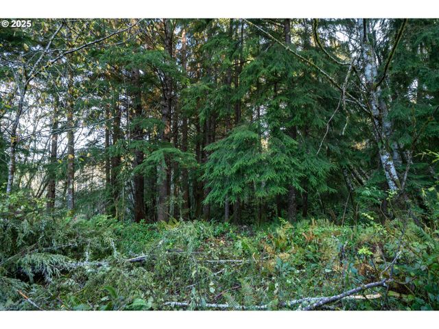 Bryant St 602 604, Wheeler, OR 97147