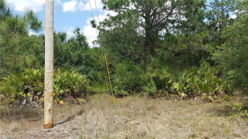 933 Memphis AVE, LEHIGH ACRES, FL 33974 — photo 2
