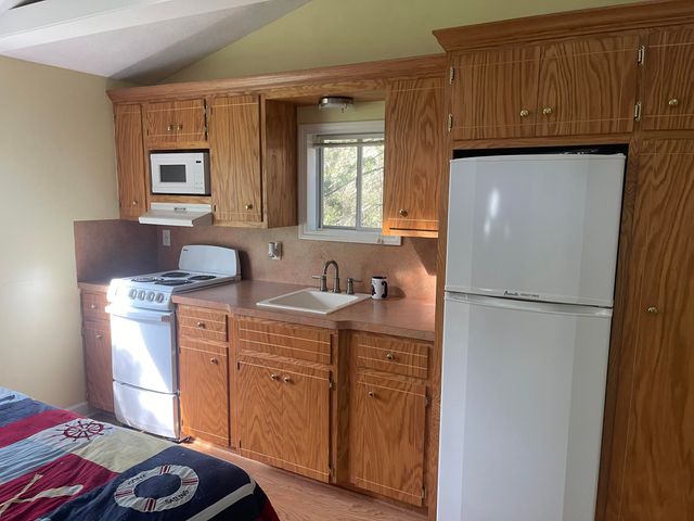 4629 S Croton Hardy Drive, Newaygo, MI 49337