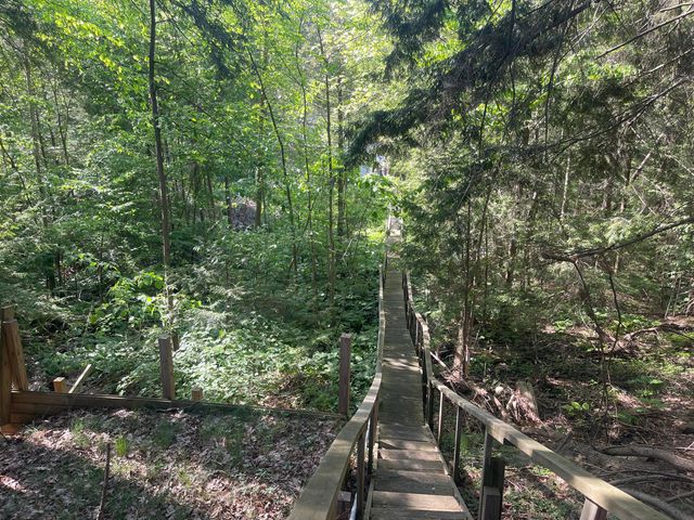4629 S Croton Hardy Drive, Newaygo, MI 49337