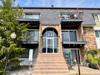 6A DUNDEE QUARTER Drive 207, Palatine, IL 60074