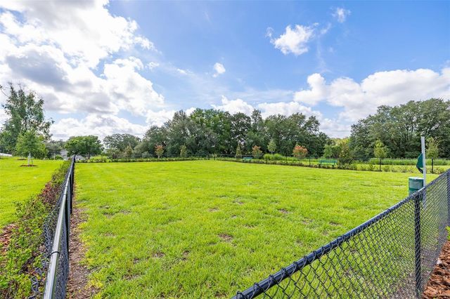 1125 BELFAST PLACE, Haines City, FL 33844