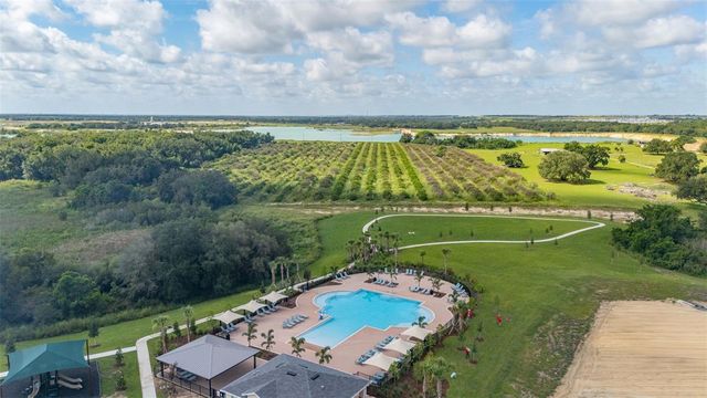 1125 BELFAST PLACE, Haines City, FL 33844