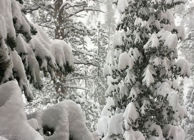 3987 Mont Blanc Way, Mount Charleston, NV 89124