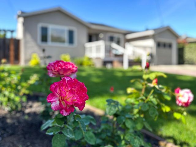 23 Meadow Lane, Redwood City, CA 94063